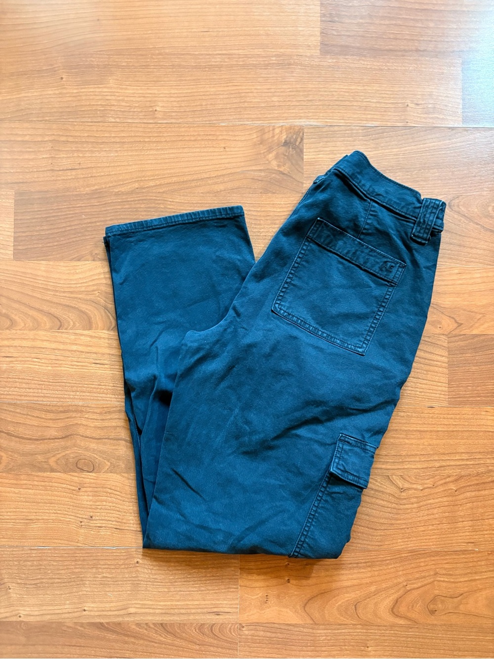 American Eagle Outfitters Dark Teal Cargo Pants